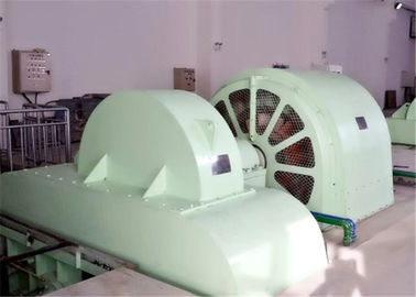 Mini Pelton Wheel Water Turbines dat in Hydro-elektrische Elektrische centrale wordt gebruikt