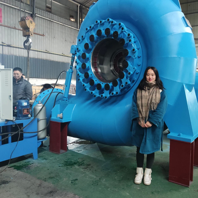 kwaliteit  Reliable Water Turbine Generator For Various Speeds And Frequencies fabriek