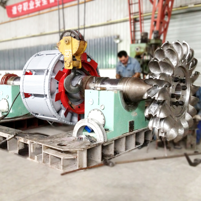 Olieverkoeling Pelton-turbinegenerator Pelton-turbinegenerator met gietijzeren lichaam