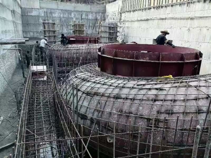 400V 800V 6.3kV 10kV Francis Hydroturbine Generator met nominale snelheid 450-1000 RPM