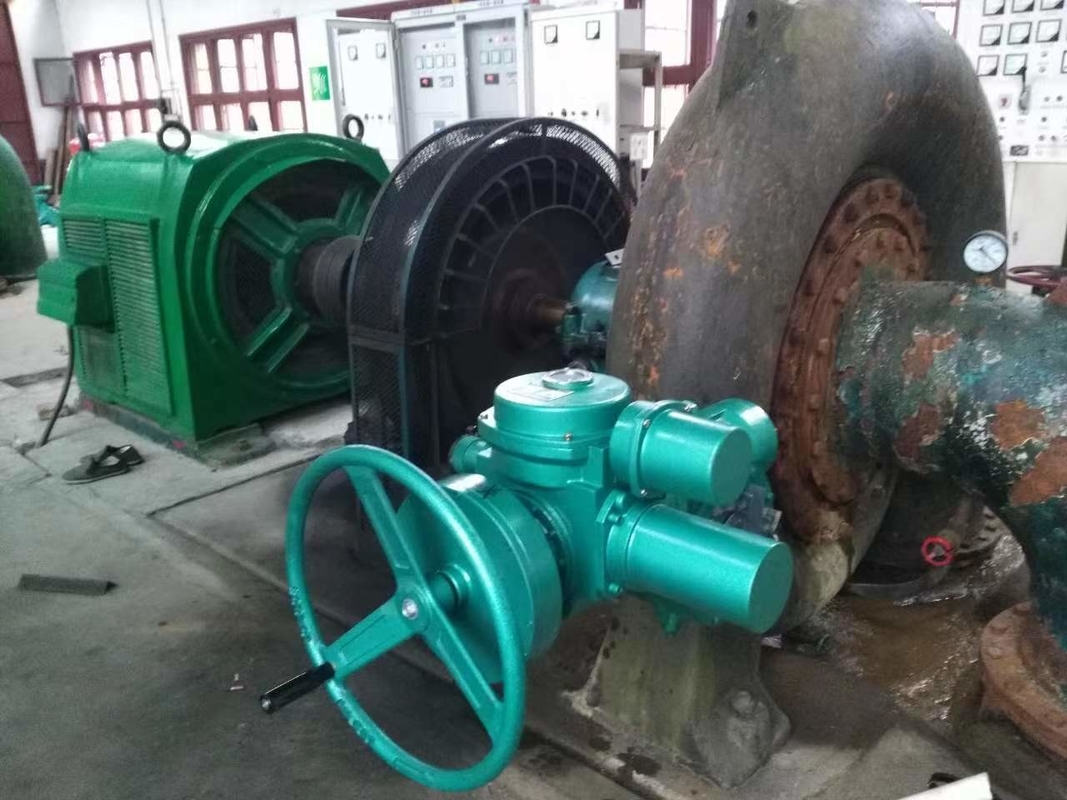Stalen en roestvrij staal waterturbines met 50 jaar levensduur