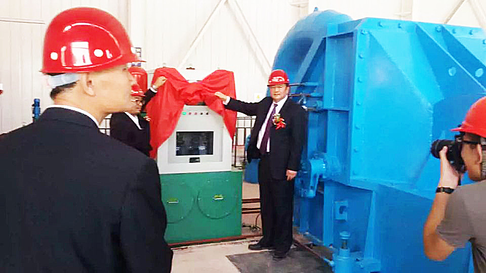 IP54 Beschermingsgraad Pelton-type turbinegenerator voor elektriciteitsopwekking in gietijzer/roestvrij staal