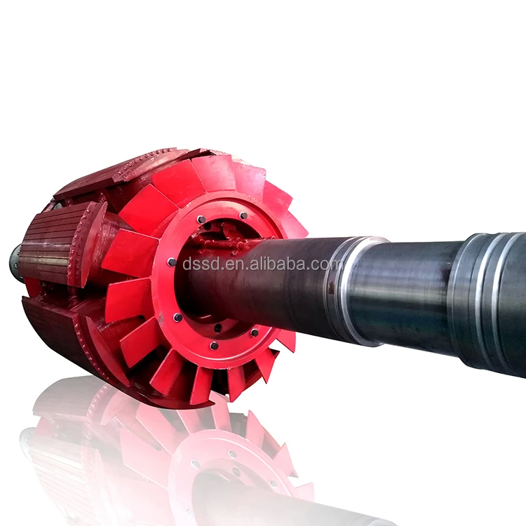 Stil Verticale waterturbine 220V-690V Aanpasbare kleur Borstelloos/Statisch Silicium