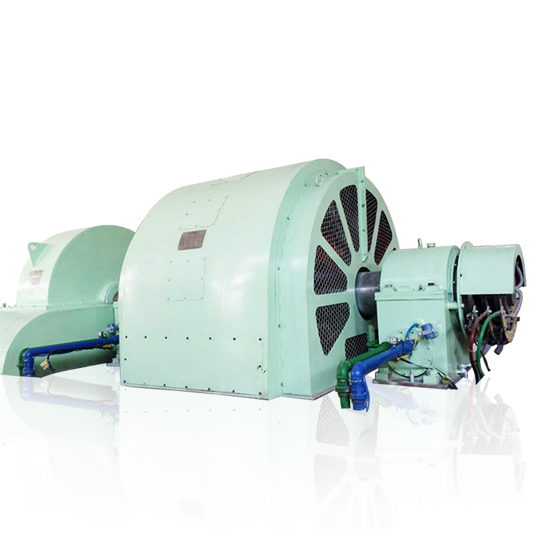 100kW-50MW Pelton-type turbinegenerator met constructie van roestvrij staal