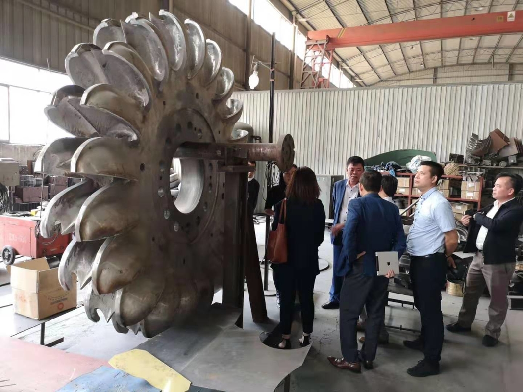 Olieverkoeling Pelton-turbinegenerator Pelton-turbinegenerator met gietijzeren lichaam