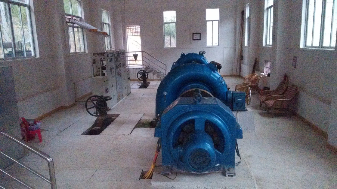 Verticale of horizontale installatie van de Francis Hydroturbine Generator