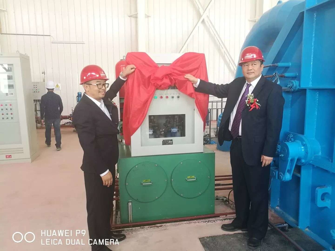 500-3000 r/min Borstelloze gietijzer Pelton turbinegenerator met isolatieklasse F