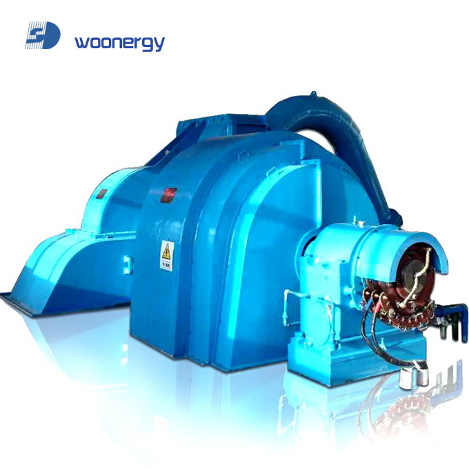 Hoofdimpulsturbinegenerator IP54 Beschermingsgraad 6-10kV Nominale Spanning Gegooid ijzer/roestvrij staal
