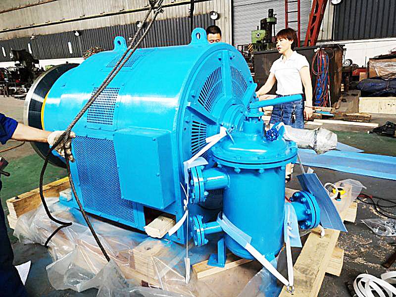 Verstelbare waterkop hydroturbinegenerator voor een aangepaste energieuitgang op 50/60Hz frequentie