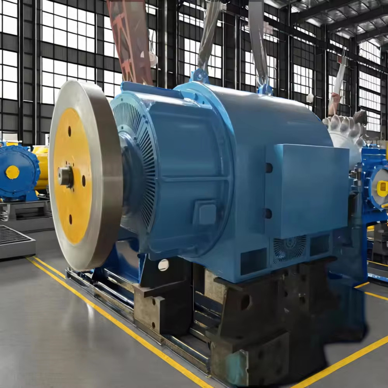 5T-50T aangepaste Pelton turbine generator met lucht olie koeling en thyristor excitatie