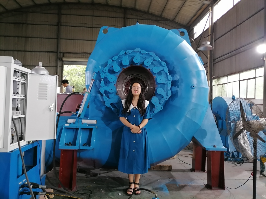 Op maat gemaakte kleurverschikte waterturbinegenerator voor verschillende energiebehoeften