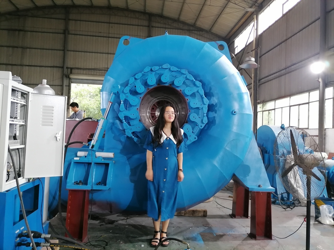 Op maat gemaakte kleurverschikte waterturbinegenerator voor verschillende energiebehoeften