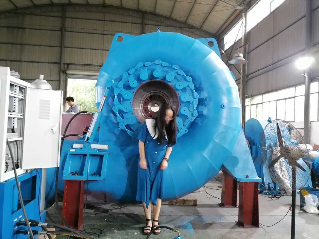 Volledig automatische controle horizontale kleine waterturbine generator met statische silicium opwinding