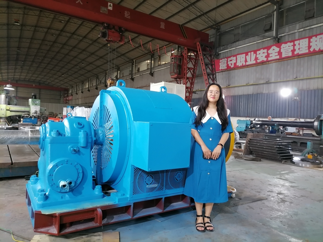 Volledig automatische controle horizontale kleine waterturbine generator met statische silicium opwinding