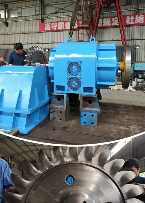 Olieverkoeling Pelton-turbinegenerator Pelton-turbinegenerator met gietijzeren lichaam