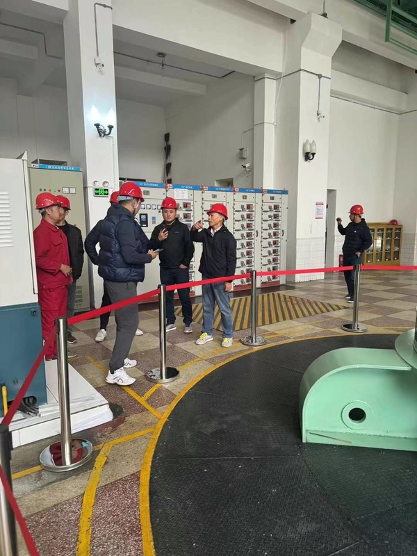 3200kw tot 5000kw Waterkracht Francis Turbine Alternator Generator voor Water Turbine Hydro Generator