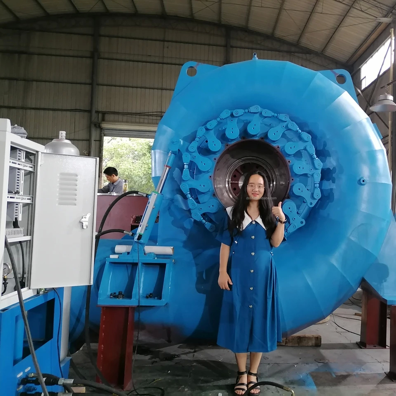 300 kW-20 MW Francis turbinegenerator met 50Hz/60Hz frequentie en verstelbare nominale spanning