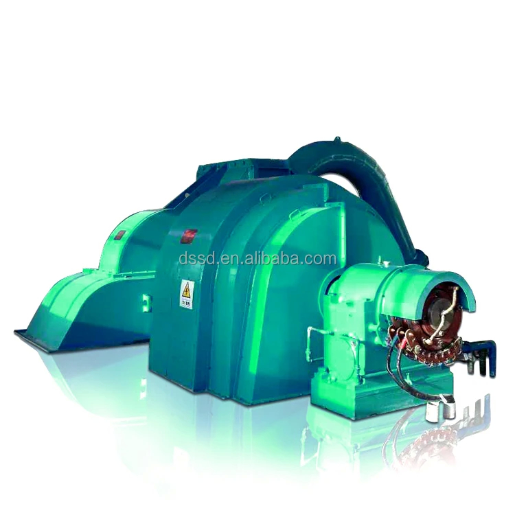 Hoofd Pelton turbine voor waterkrachtcentrales Capaciteit 5-50t Nominale frequentie 50/60Hz Borstelloze of thyristor excitatie modus