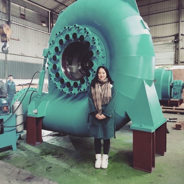 Verticale / horizontale borstelloze 50Hz/60Hz waterturbine generator met automatische handmatige bediening