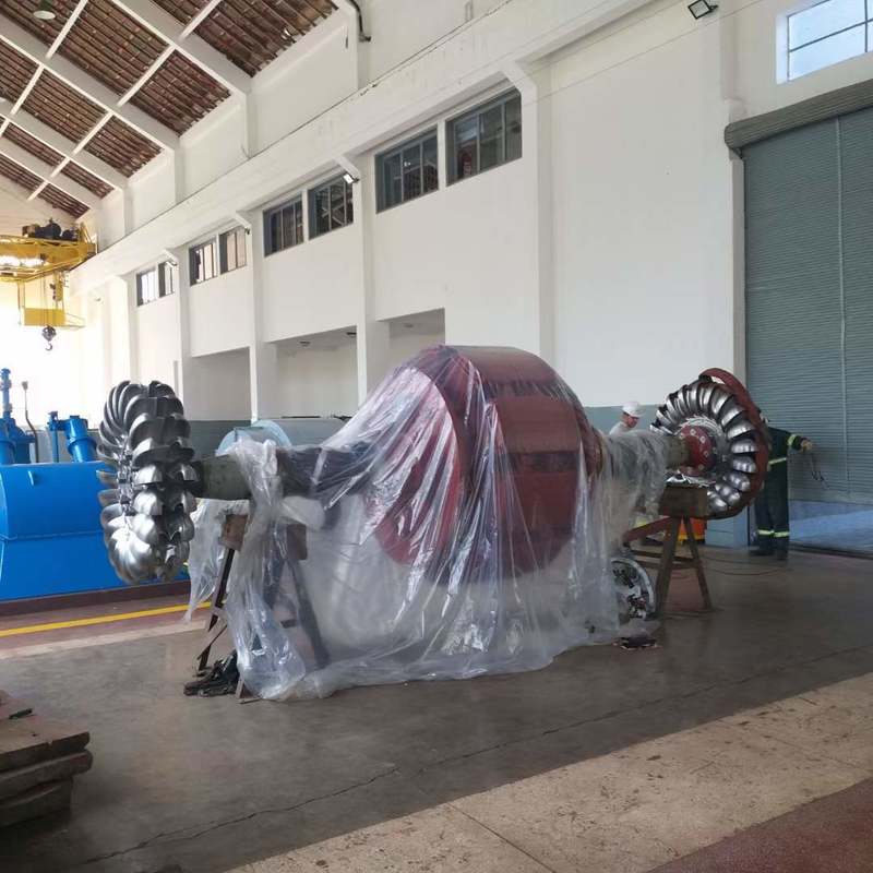 Milieuvriendelijke Pelton-turbines | Duurzame waterkrachtapparatuur voor duurzame energieprojecten