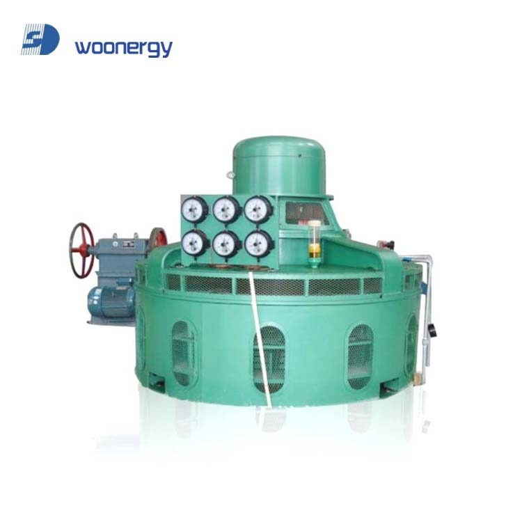 Waterkrachtopwekking Hydro Turbine Rotor met Aangepaste Bladlengte en 300rpm Nominale Rotorsnelheid