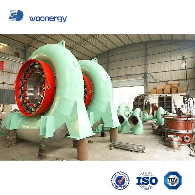 Francis Turbine Generator 300kW tot 20 MW met 30~50 Years Lifespan en Automatic Governor Control voor Hydropower Plants