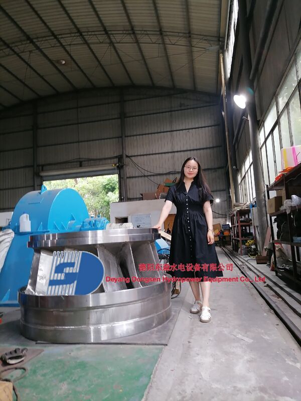 Francis Turbine Generator met een vermogen van 300 kW tot 20 MW en automatische regelaarregeling voor waterkrachtcentrales van 50 Hz of 60 Hz