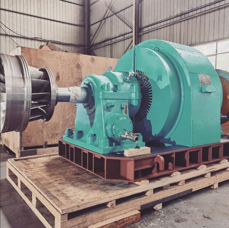 Roestvrijstalen Francis Turbine Generator met Automatische Regelmodus en 450-1000 RPM voor Waterkracht Energie Oplossingen