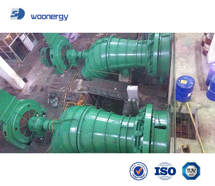 Synchrone generator Kaplan-hydroturbinegenerator met installatietype en doorstroming 500-1500