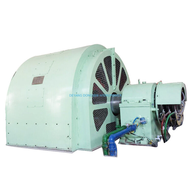 Productieperiode 6 maanden Pelton turbine generator waterkrachtapparatuur ontworpen voor hernieuwbare energieproductie