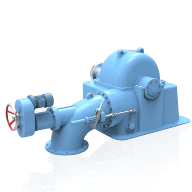 Horizontal Pelton Turbine Generator Offering Synchronous Or Asynchronous Generator Type and Six Months Production Period Designed for Energy Conversion