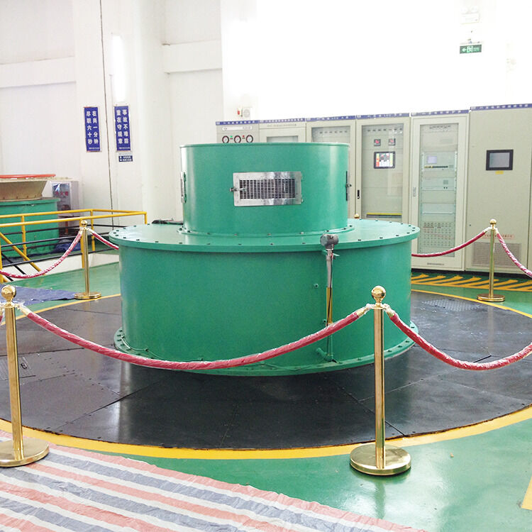 Tot Enkele MW Pelton Type Turbine Generator Aangepaste Kleur Groen en Blauw Opties voor Waterkrachtenergiesystemen