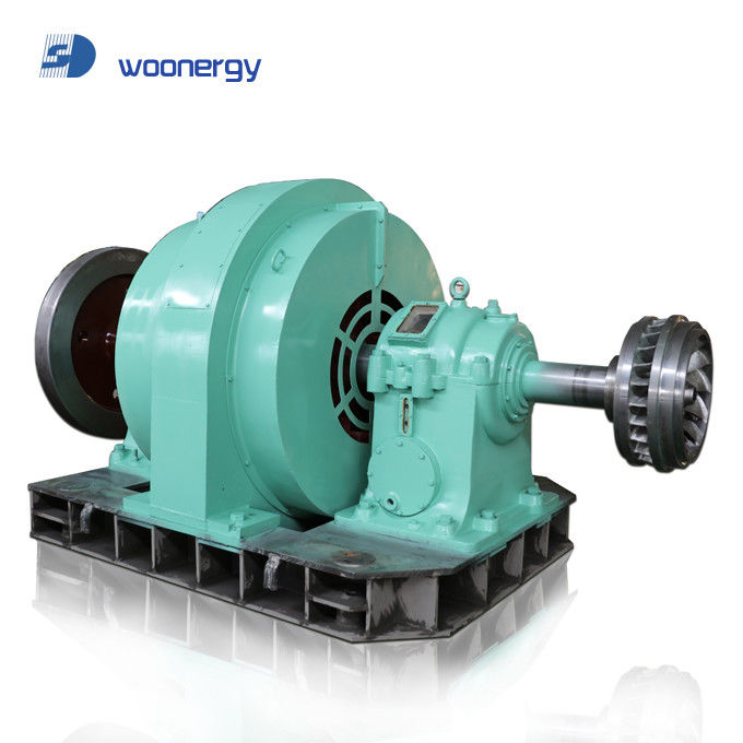 Gepersonaliseerde Hydroturbine Generator Staal roestvrij staal 450-1000rpm voor waterkoppen 5m-500m