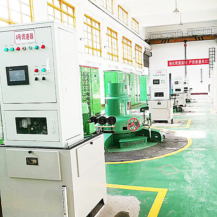 Handmatige of Automatische Besturingssysteem Kaplan Hydro Turbine Generator met 1-10 Meter Loper Diameter