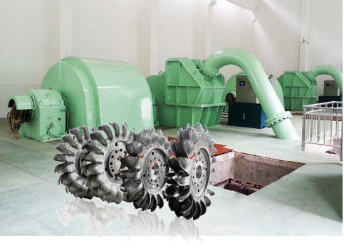 De roestvrije Turbogenerator van Roestvrij staalpelton voor Waterkrachtinstallatie