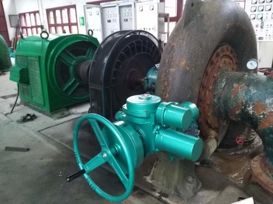 Energiebesparende waterturbinegenerator met aanpassing - 450-1000 tpm