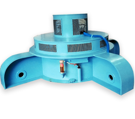 Persoonlijke kleur Permanente Magneet Synchrone Generator 220-11000V Spanning Kaplan Hydroturbine