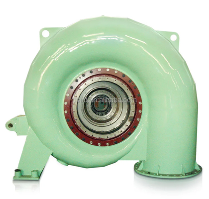 Capaciteit aangepaste hydroturbine generator roestvrij staal 5m-500m Waterkop 50HZ/60HZ Frequentie