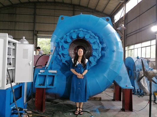 Op maat gemaakte kleurverschikte waterturbinegenerator voor verschillende energiebehoeften