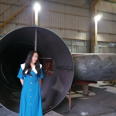 200 kW-20 MW waterturbinegenerator met automatische / handmatige bediening