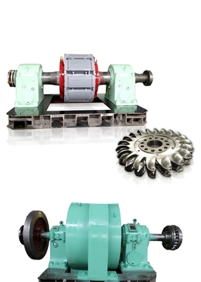 Op maat gemaakte 100-1000A nominale stroom Pelton turbinegenerator met F-klasse isolatie
