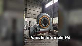 Francis Turbinegenerator IP54 Horizontaal Verticaal